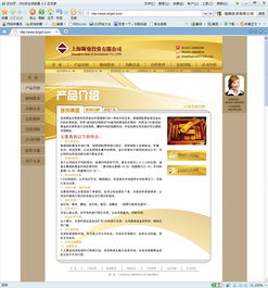 网站设计的关键要素 从网页到整体用户体验